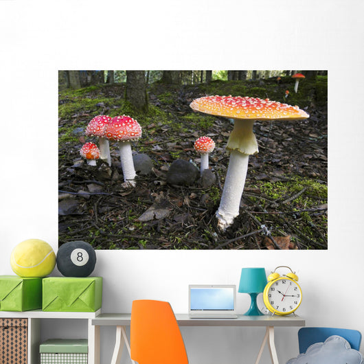 Up Fly Agaric Mushrooms Wall Decal