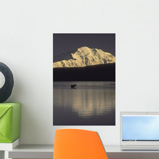 Moose Standing Wonder Lake Wall Decal