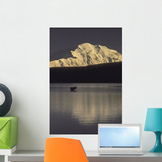 Moose Standing Wonder Lake Wall Decal