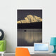 Moose Standing Wonder Lake Wall Decal