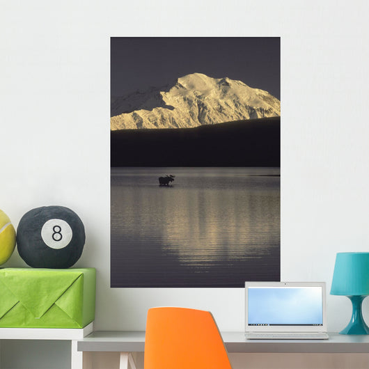 Moose Standing Wonder Lake Wall Decal