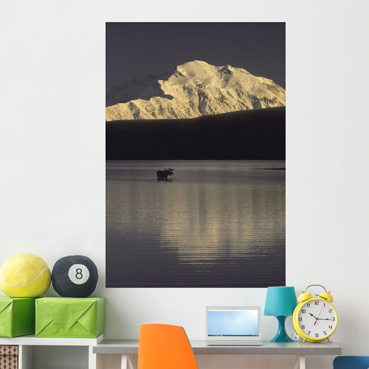 Moose Standing Wonder Lake Wall Decal