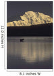 Moose Standing Wonder Lake Wall Decal