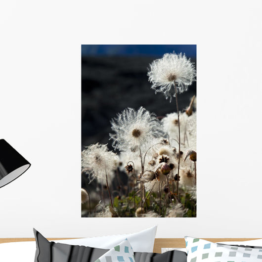 Up Mountain Avens Have Wall Decal