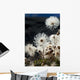 Up Mountain Avens Have Wall Decal
