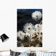 Up Mountain Avens Have Wall Decal