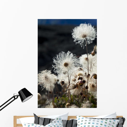Up Mountain Avens Have Wall Decal