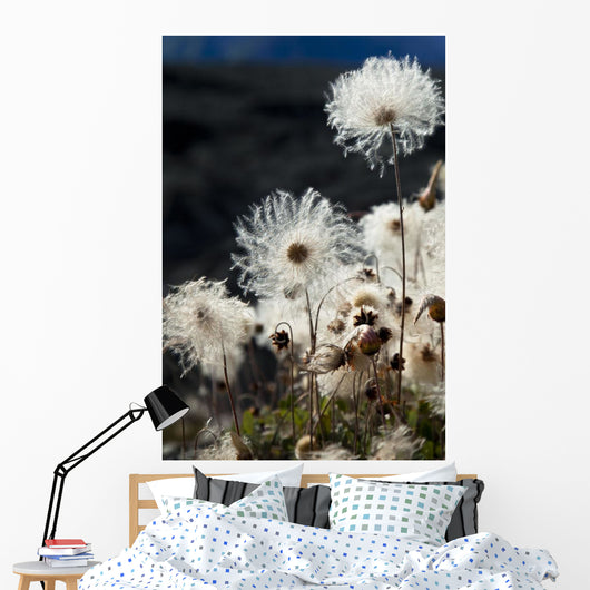 Up Mountain Avens Have Wall Decal