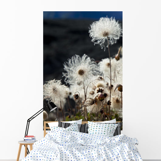 Up Mountain Avens Have Wall Decal