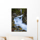 National Creek Fall above Wall Decal