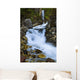 National Creek Fall above Wall Decal
