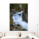 National Creek Fall above Wall Decal