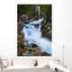National Creek Fall above Wall Decal