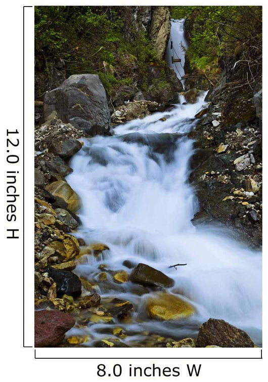 National Creek Fall above Wall Decal