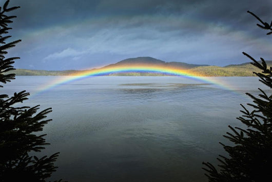 Low Arching Rainbow over Wall Decal
