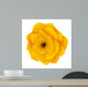 Head of Yellow Begonia Wall Decal