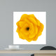 Head of Yellow Begonia Wall Decal