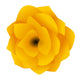 Head of Yellow Begonia Wall Decal