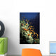 Orange Lyretail Anthies Swarming Wall Decal