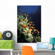 Orange Lyretail Anthies Swarming Wall Decal