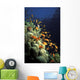 Orange Lyretail Anthies Swarming Wall Decal
