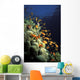 Orange Lyretail Anthies Swarming Wall Decal