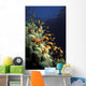 Orange Lyretail Anthies Swarming Wall Decal