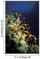 Orange Lyretail Anthies Swarming Wall Decal