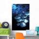 Schooling Circular Batfish Wall Decal