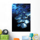 Schooling Circular Batfish Wall Decal
