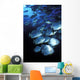 Schooling Circular Batfish Wall Decal