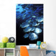 Schooling Circular Batfish Wall Decal
