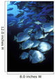 Schooling Circular Batfish Wall Decal