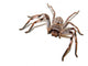 Hunstman Wall Decal