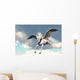 Pegasus