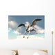 Pegasus