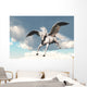 Pegasus