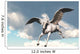 Pegasus
