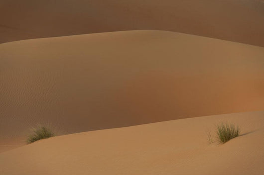 Detail Tufts Grass Sand Wall Decal