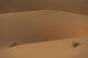 Detail Tufts Grass Sand Wall Decal
