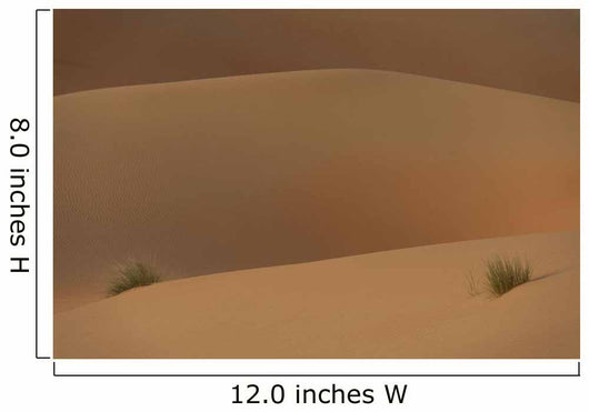 Detail Tufts Grass Sand Wall Decal