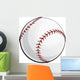 Baseball Wall Mural