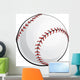Baseball Wall Mural