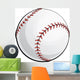 Baseball Wall Mural