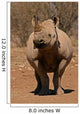 Black Rhinoceros Wall Mural