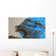 Dolphins Wall Mural