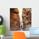Climber Canyon Wall Decal