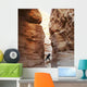 Climber Canyon Wall Decal