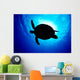 Sea Turtle Silhouette