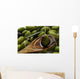 Olive oil Wall Mural